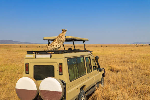 rare animals in Tanzania