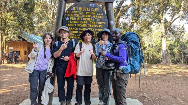 can a beginner climb Kilimanjaro