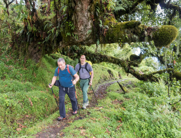 wildlife on Mount Meru 