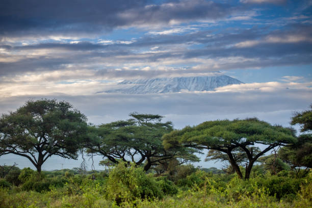 Mount Kilimanjaro weather guide