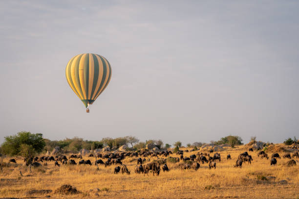 Hot Air Balloon Safari in Serengeti: The Ultimate Luxury Wildlife Experience in Tanzania 2026