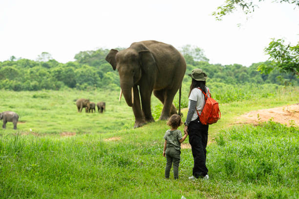 Tanzania walking safari