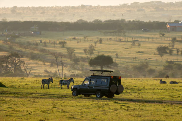 Top 10 best safari in Tanzania