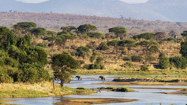 Ruaha National Park guide