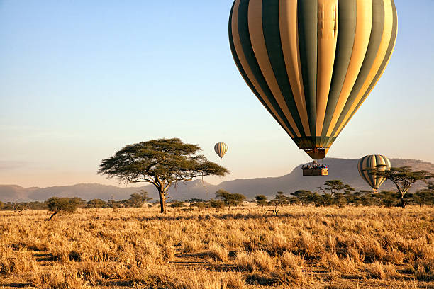  a hot air balloon safari in Serengeti