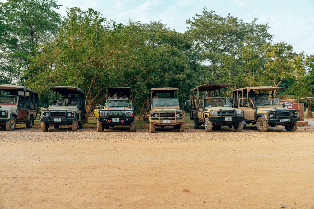 Serengeti Safari Itineraries