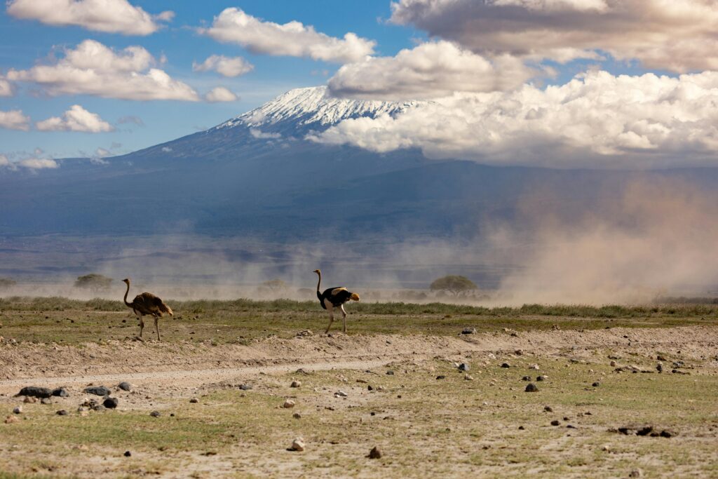 Kilimanjaro Summit 