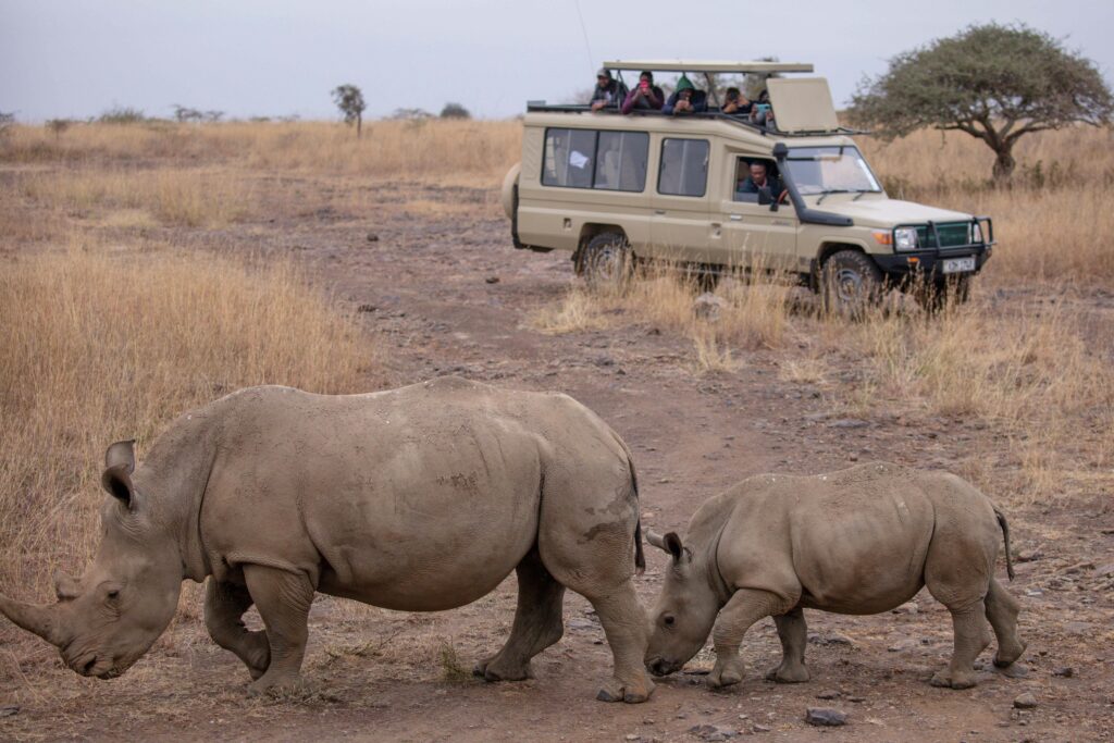 rare animals in Tanzania