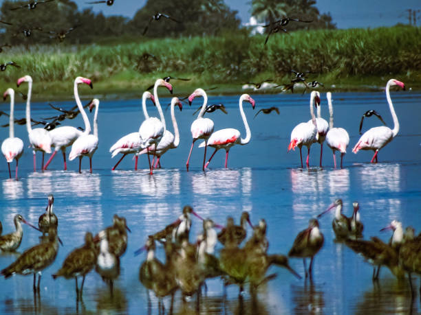 where to go in Tanzania