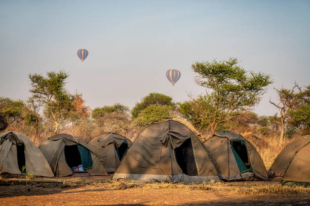 Serengeti Safari Tips