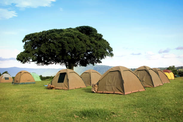 Serengeti Camping Experience 