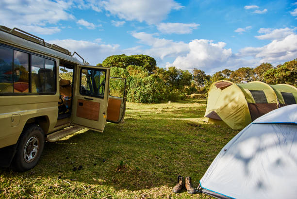  serengeti safari guide