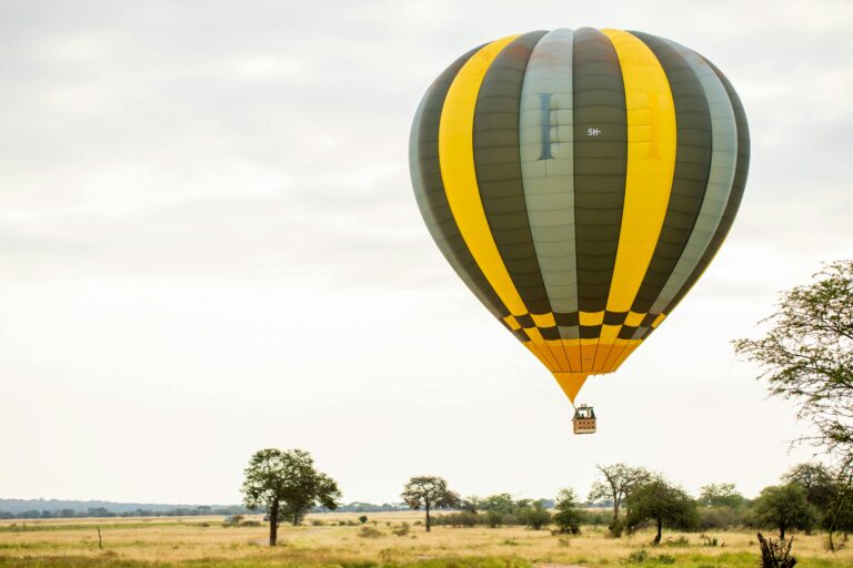 pexels-tanzania-wild-sky-986912744-20179674 (2)